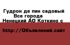 Гудрон де пин садовый - Все города  »    . Ненецкий АО,Коткино с.